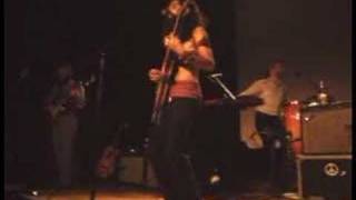 devendra banhart - little yellow spider