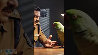 টিয়া VS পুলিশ #Shorts #shortsfeed টিয়া VS পুলিশ #Shorts #shortsfeed