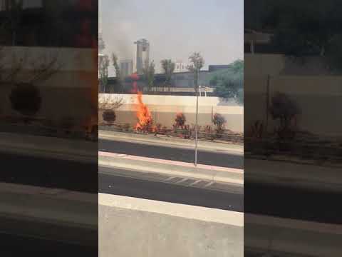 Extreme Heat In Kuwait - Burning Trees