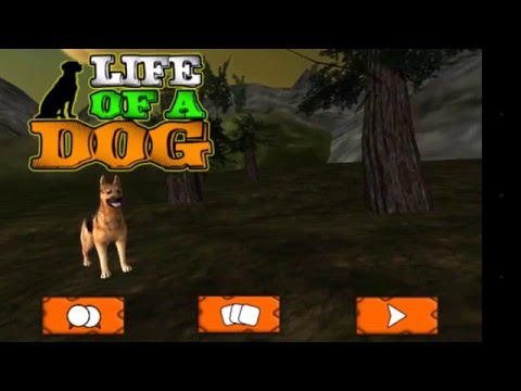 Life of a Dog : Survival Story Video