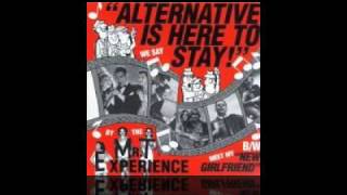 Mr.T Experience - alternative is here to stay