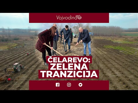 Čelarevo: Zelena tranzicija @VojvodinaUzivo