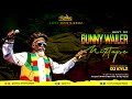DJ KYLZ - BEST OF BUNNY WAILER REGGAE MIX