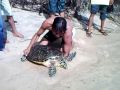 Philippine Sea Turtle Released 