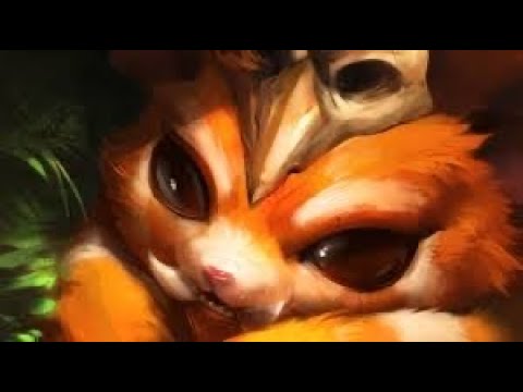 Why I'm the best Gnar NA