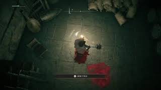 ELDEN RING　ガチ初見　ELDEN RINGの世界観で進撃の巨人のシニゲー作ったら最高じゃね？