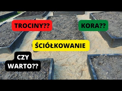 ŚCIÓŁKOWANIE OGRODU. Czym ściółkować?? Po co ściółkować?? Jak użyć trocin w ogrodzie. #nodig