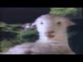 Retro Homeopathic Nytol Natural Commercial 1997 Sleep Aid