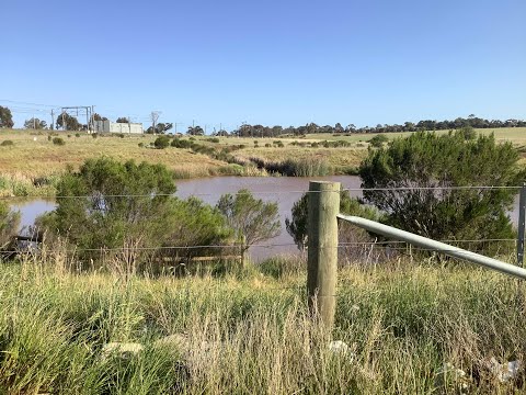Trackside around Sunbury (Part 1) I 4K