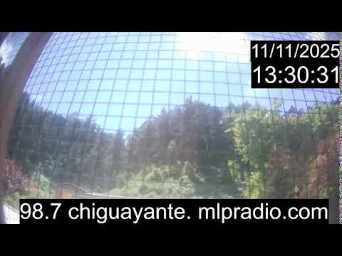 Chiguayante Bio Bio Chile, en Vivo. Live Cam, Camara en vivo.