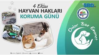 KDZ. EREĞLİ’DE SOKAK HAYVANLARININ BESLENME İHTİYACI KARŞILANDI
