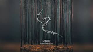 Lunatic Soul Album Through Shaded Woods (2020)