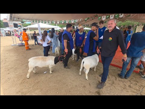 AGRO BARRA RURAL EXPOSIÇÃO DE ANIMAIS EM BARRA DE SANTANA PARAÍBA 