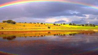Zucchero-Un Soffio Caldo-Testo