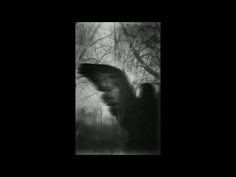 [FREE] Alien x SuperTrap Type Beat - "SKEE" (prod. Kevin Ford)