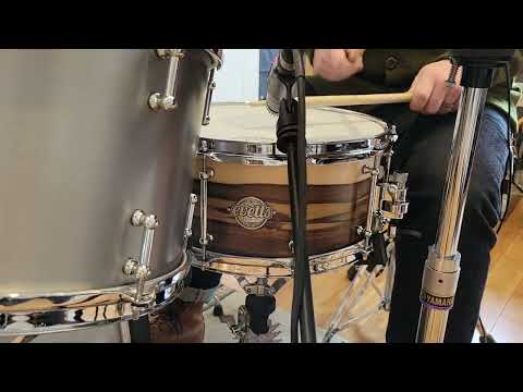 (SOLD) Snares - Evetts Drums 6.5x14 Spotted Gum Ply Snare Drum w/Blackheart Sassafras Veneer