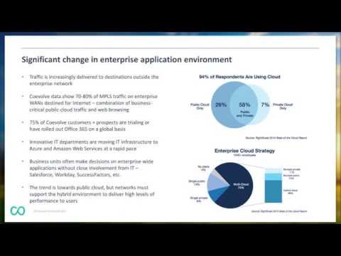 Achieving High Utilization With Software Driven Wan
