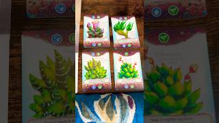Board Game Sanctuary - Glass Garden video thumbnail