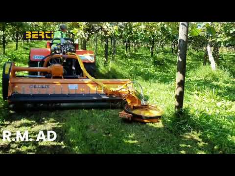 BERTI: Disco Interfilare - Disk-Mower R.M. - AD