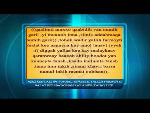 qaalimti galtoo kee muxxo -49