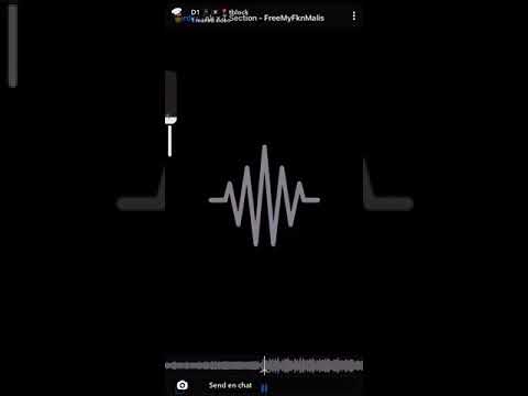 T section unrealsed song