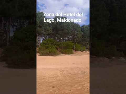 Laguna del Sauce. Maldonado. Uruguay