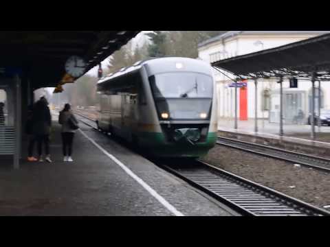 VT 15A ''Trilex''' jako RB61 rel. Dresden HBF.- Zittau [18.03.2017 r.]