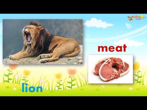 Animals and Their Food | Learning Video | AuSum Sisters