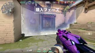 初心者バロ　コンペ