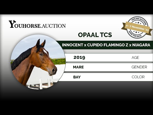 Opaal TCS