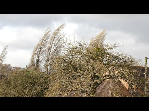 Storm Eunice - Bedford, UK (18 February 2022)