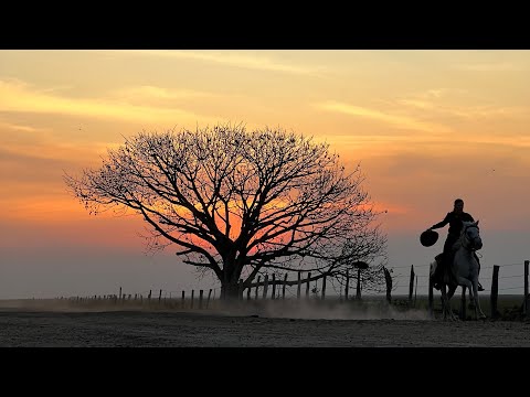 Traigo Polvo del Camino // Anabella MONDI