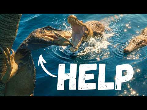 Trying The NEW Hunting Grounds On The Isle (New Update + TREX Hunt)