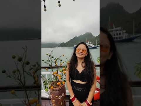Client video testimonial