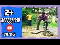 Dangerous King Cobra hunt ! 