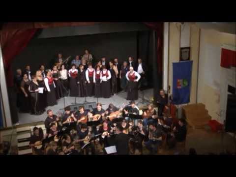 Maslina je neobrana - svi sudionici