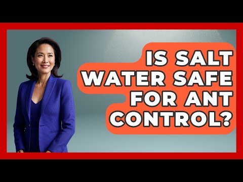 Is Salt Water Safe For Ant Control? - Insects and Invaders
