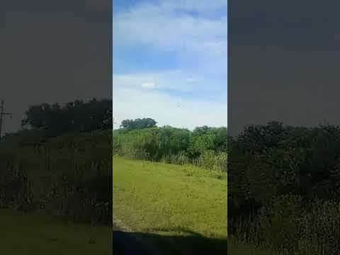 viaje a precidencia de la plaza chaco