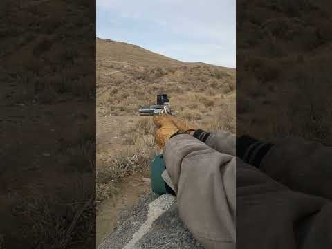 Colt 44 Magnum Kodiak review