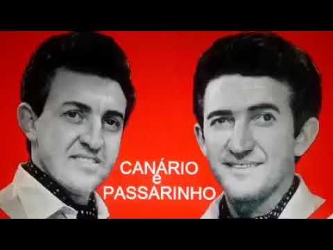Pagode Do Conselho - Canário e Passarinho