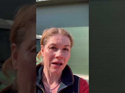 N P Seymour- Braun Rollhacke with Finger Weeder