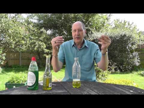 Making an Apple Cider Vinegar (ACV) Fly Trap