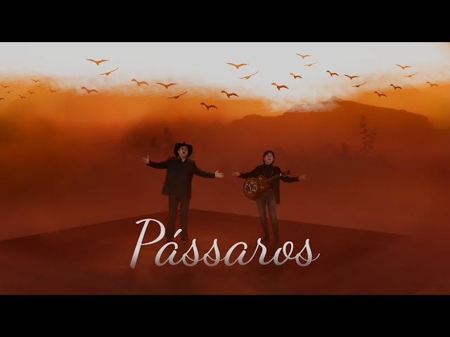 Download Pássaros Chitãozinho e Xororó