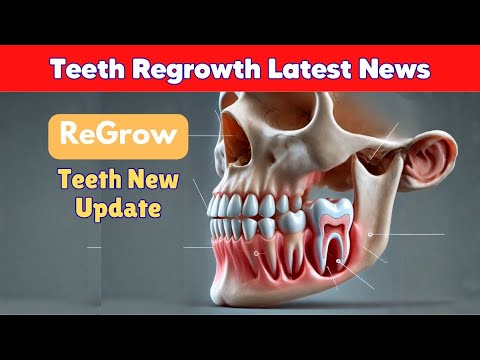 Teeth Regrowth Latest News | Regrow Your Teeth Japan| Medical Miracle