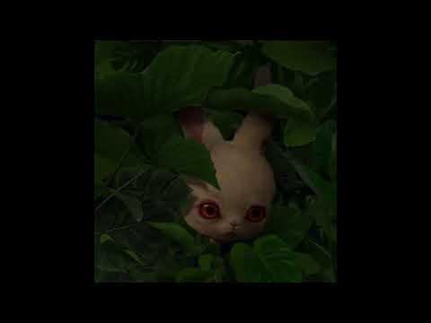 Video thumbnail for Echoing Childhood