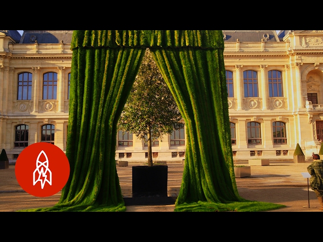 Pronunție video a Ackroyd în Engleză