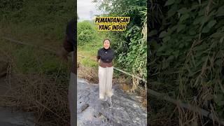 Download lagu The risks of swimming in the river #comedy #parody mp3