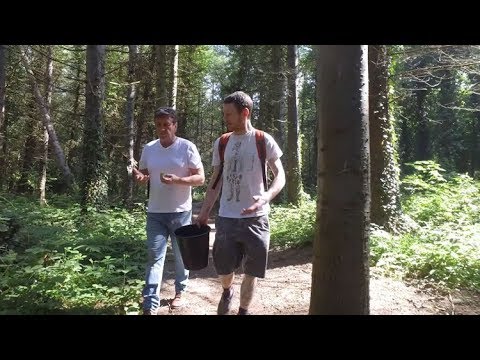 Delish Destinations - Foraging the Mourne Mountains