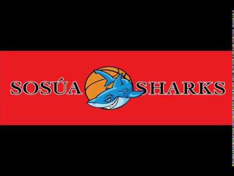 Gigo Mambo - Sosua Sharks