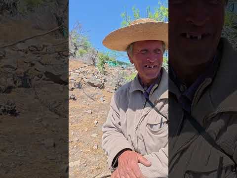 Arrieros de Putaendo corales de Ramadilla Rodeo de ganado en la cordillera de Valparaíso